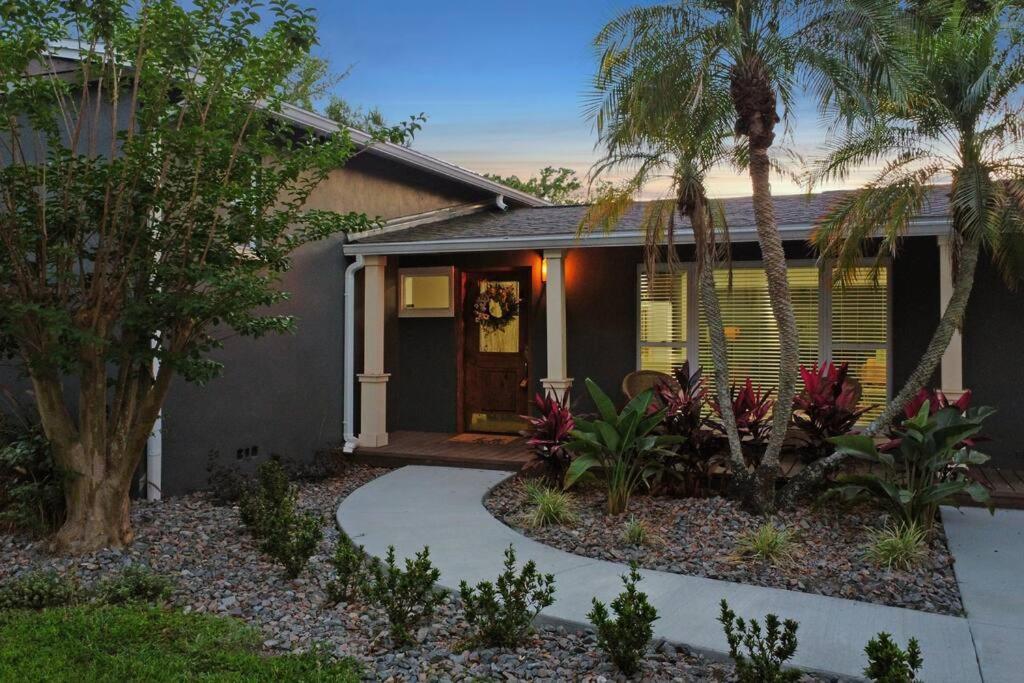 Palm Tree Paradise Tampa Pool Home Exterior foto