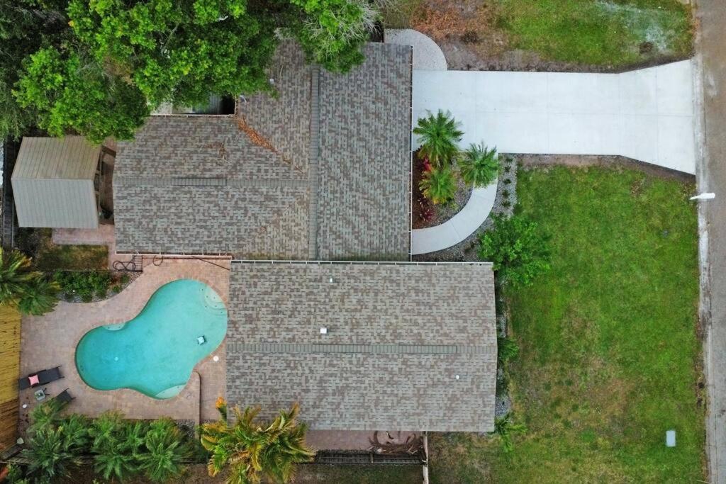 Palm Tree Paradise Tampa Pool Home Exterior foto