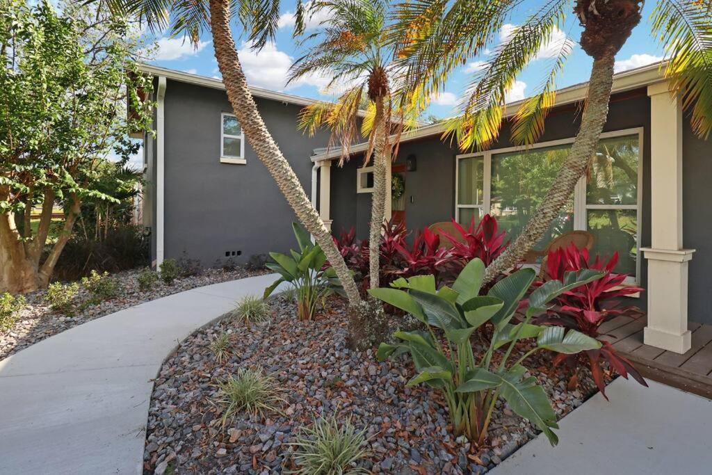 Palm Tree Paradise Tampa Pool Home Exterior foto